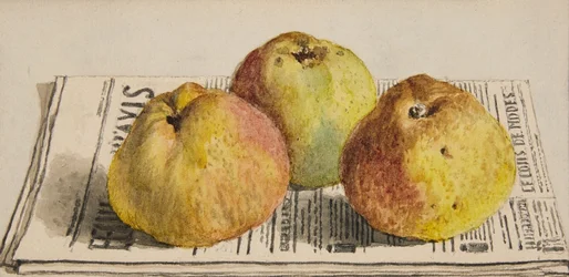 Bodegón con tres manzanas y periódico